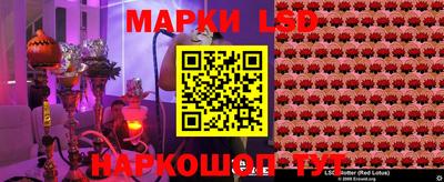 ECSTASY Славгород