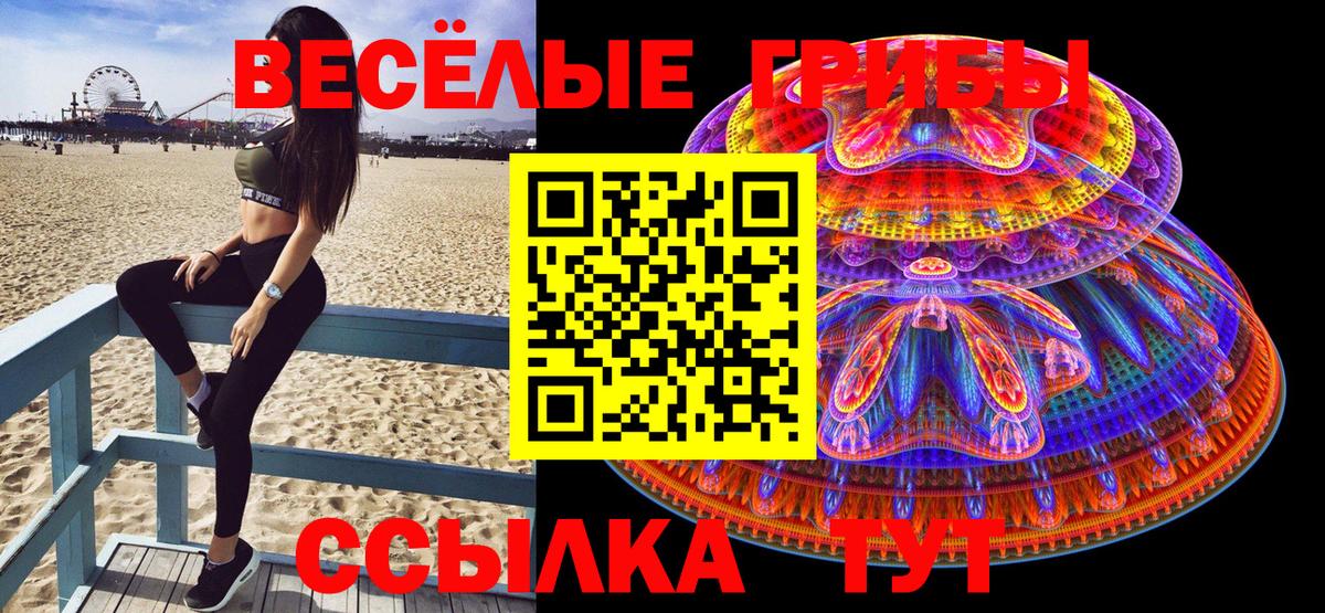 Алушта  Галлюциногенные грибы Psilocybine cubensis  Вход с VPN 
